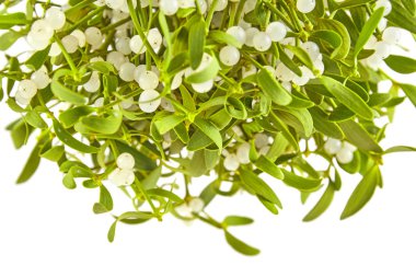 Ahşap masa üzerinde yeşil ökse otu üzerinden süpürge. Doğa arka plan. Noel bitki