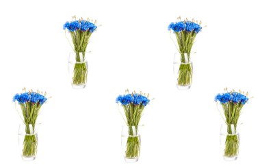 Beyaz izole mavi çiçekli buket