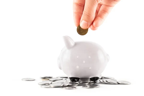 Money box pig with coins Stock Image