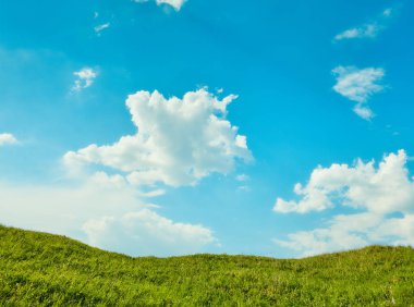 Mavi gökyüzü ile yeşil çimen