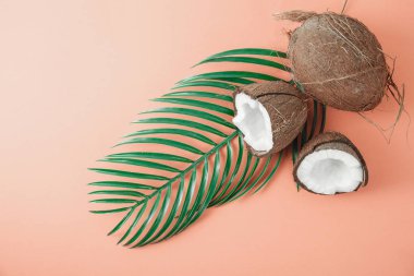 Mercan arka plan taze hindistan cevizi