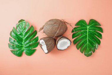 Mercan arka plan taze hindistan cevizi