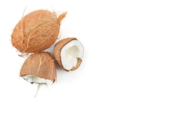 Cocco fresco su sfondo bianco — Foto Stock