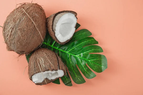 Färsk kokos på korall bakgrund — Stockfoto