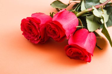 Romantik arka planda kırmızı gül