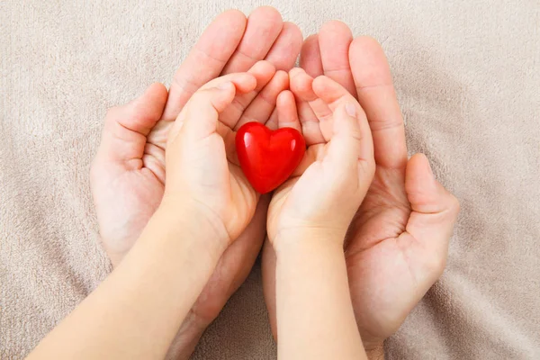 stock image adult and child hands holding red heart