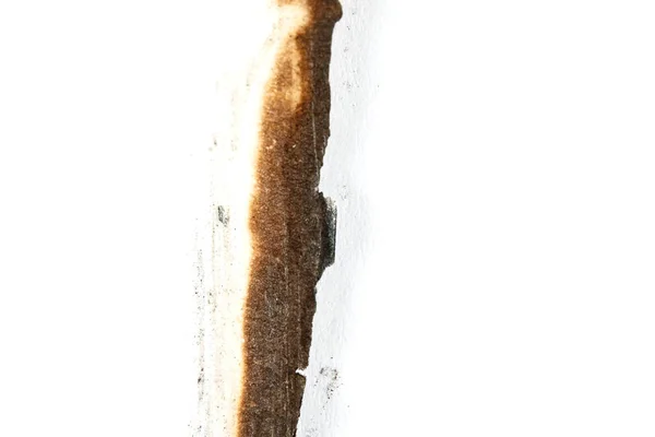 Papel queimado em branco — Fotografia de Stock