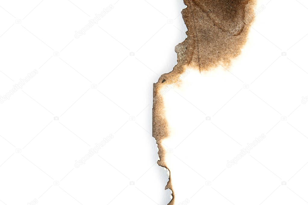 isolated scorched paper on a white background