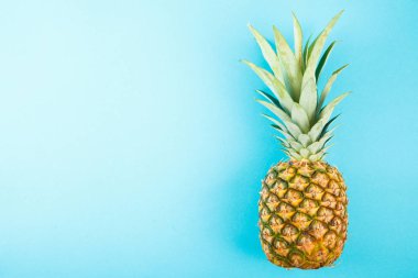 Mavi arka plan üzerinde olgunlaşmış taze ananas