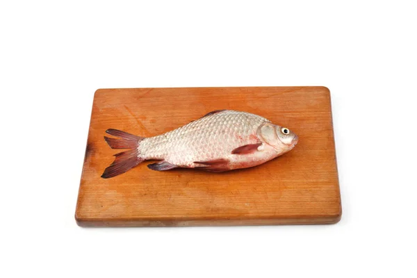 Carpa crucian isolada — Fotografia de Stock