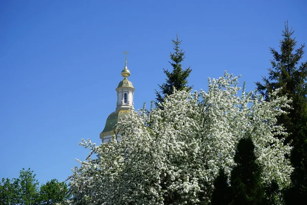 Santíssima Trindade Mosteiro Seraphim Diveyevsky Cúpula Catedral Anunciação Acácia Branca — Fotografia de Stock