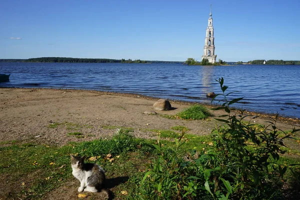 Берег Волги Городе Калязин Калязин Тверская Область Россия — стоковое фото