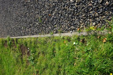  Çimen ve çakıl arasında düz bir çizgi.