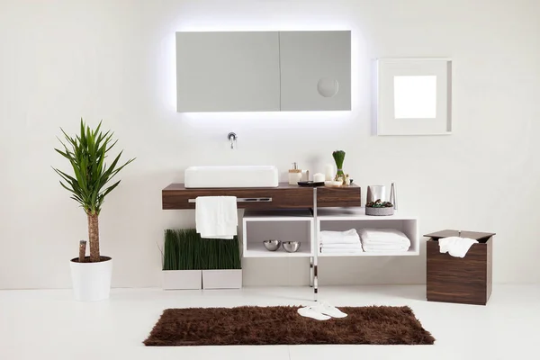 Bathroom Style Interior Decorative Design Home Hotel Office — Stock Photo, Image