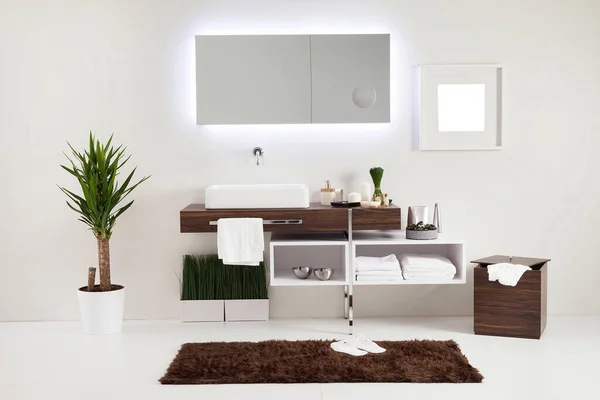 ev, otel ve ofis için banyo tarzı ve iç dekoratif tasarım