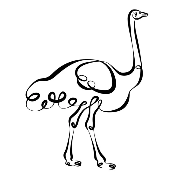 Sürekli tek bir çizgi el çizim el devekuşu Emu — Stok Vektör