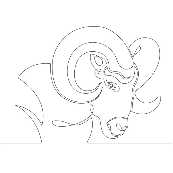Portrait de tête de bélier sauvage avec cornes arrondies, Bélier. — Photo