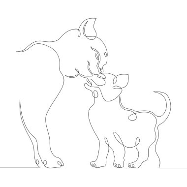 Kedi anne ve kedi yavrusu.