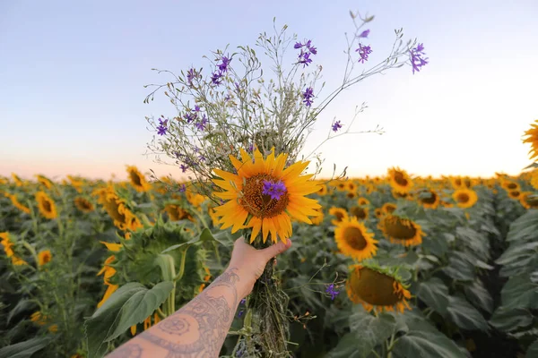 Hand of a girl with tattoo hold a mixed bouquet with sunflower on a background field of sunflowers