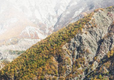 İnanılmaz manzara - dağ sararmış ağaçların ve boğaz ile görünümünü