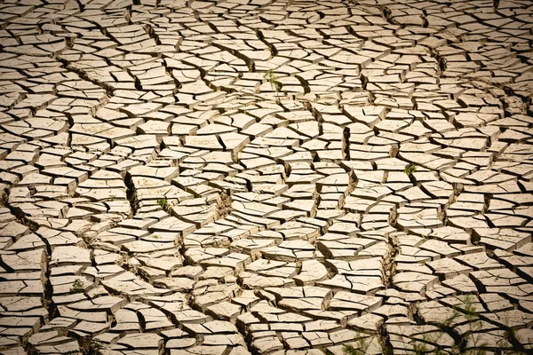 Imagem de fundo da superfície de um lago murchado e rachado pela seca — Fotografia de Stock