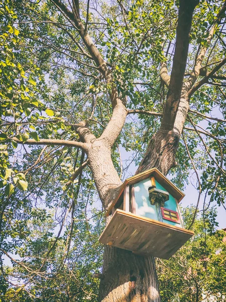 Bir ağaç üzerinde bir parkta güzel dekore kuş evi — Stok fotoğraf