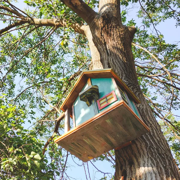 Vackert dekorerade Birdhouse i en Park på ett träd — Stockfoto