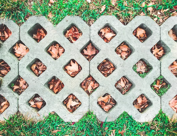 Azulejo en el parque con agujeros para la hierba. La llegada del otoño — Foto de Stock