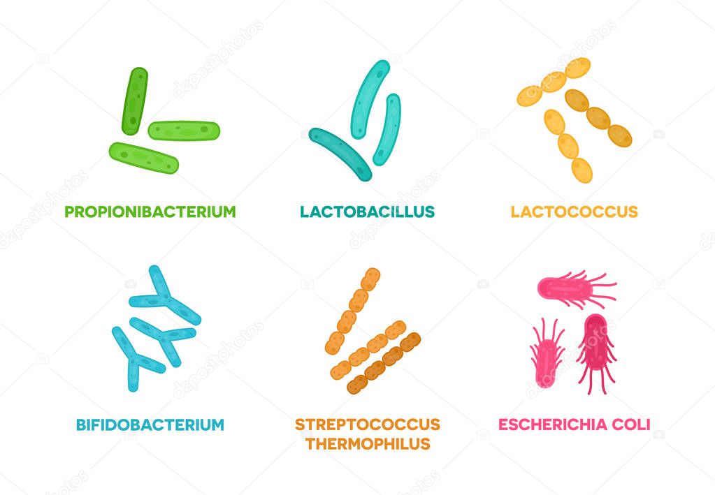 Vector illustration flat design of good bacteria and microorganisms concept isolated on white background.