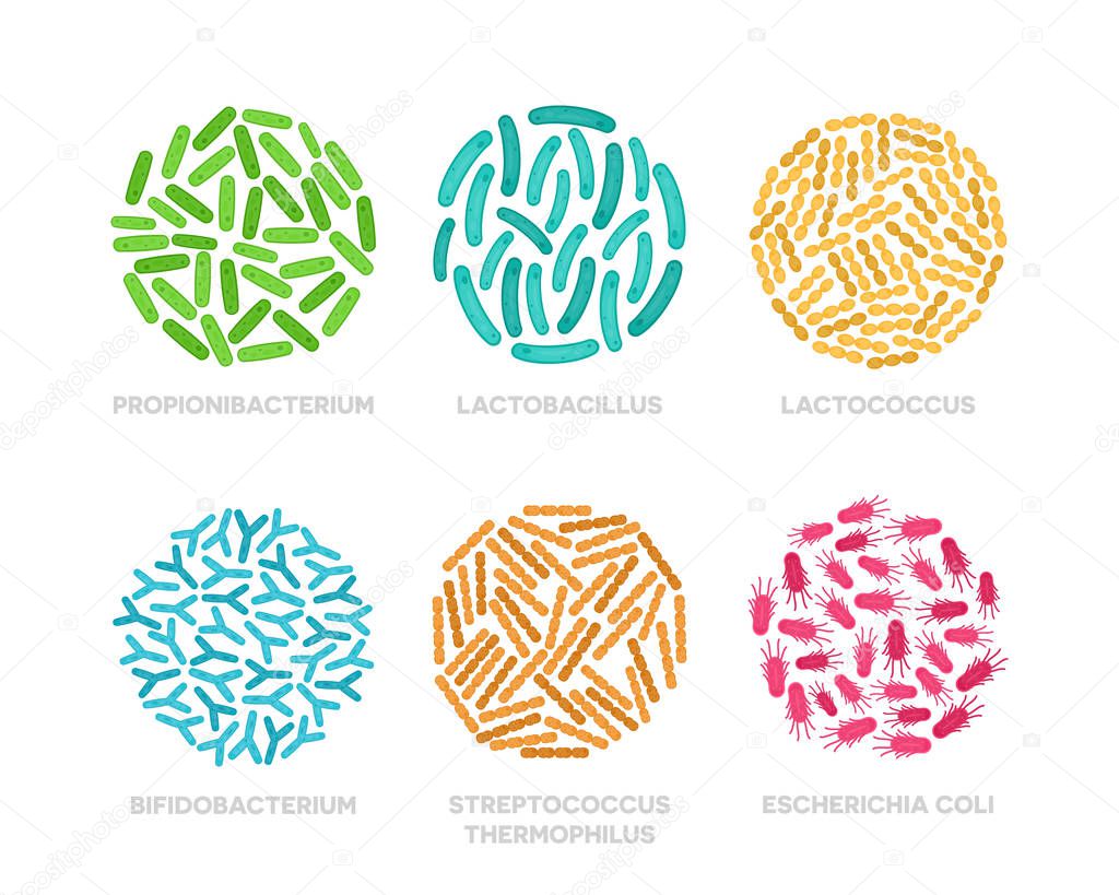 Vector illustration flat design of probiotic bacteria in a circle. Good microorganisms colorful concept isolated on white background.