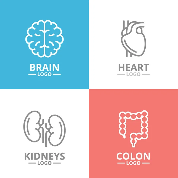 Ensemble de cerveau et cœur, rein, logo ou insigne du côlon, emblèmes, étiquettes et insigne . — Photo