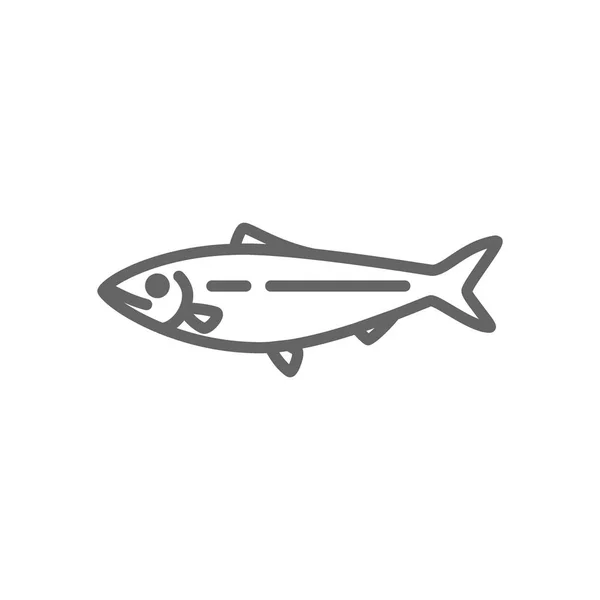 Jednoduché rybí a Jeseter ikona čáry. Symbol a znak ilustraci designu. Izolované na bílém pozadí — Stock fotografie