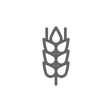 Basit buğday kulak ve tahıl satırı simgesi. Sembol ve işareti illüstrasyon tasarımı. Beyaz arka plan üzerinde izole