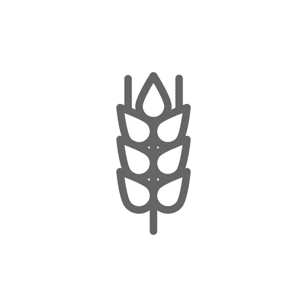 Простой значок пшеничного уха и зерновой линии. Дизайн иллюстраций символов и знаков. Изолированный на белом фоне — стоковое фото