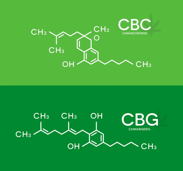 CBC y fórmula CBG. Estructura de la molécula de cannabicromeno y cannabigerol . — Vector de stock