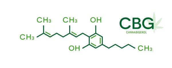 Fórmula molecular CBG. Estructura de la molécula de cannabigerol sobre fondo blanco . — Vector de stock