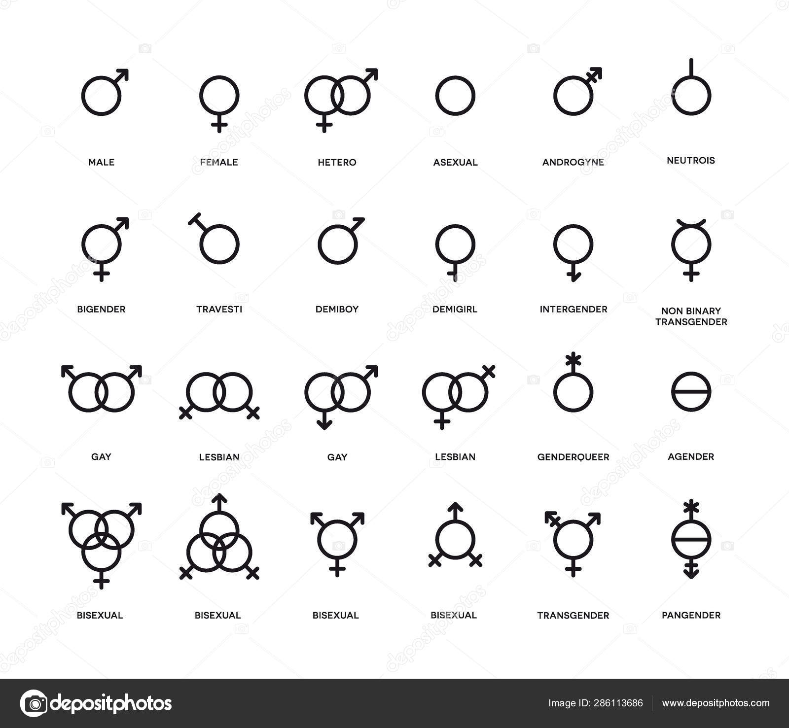 Conjunto de símbolos de género. Ícones de orientação sexual. Masculino ...