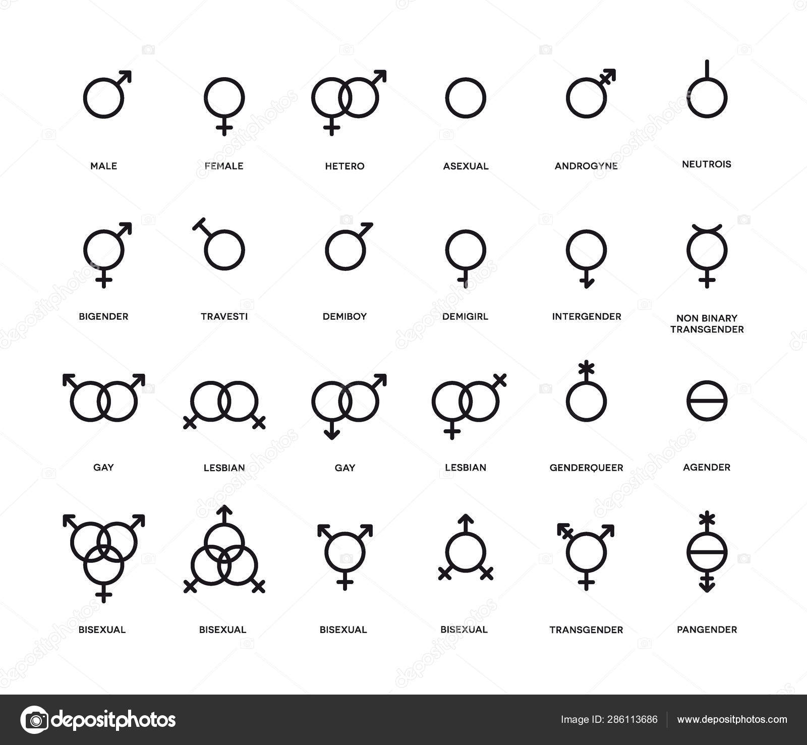 Gender Symbols Set Sexual Orientation Icons Male Female Transgender Gay Lesbian Bisexual Bigender Travesti Genderqueer Androgyne Asexual And More Stock Vector Image By C Lifeking Gender Symbols Set Sexual Orientation Icons Male Female Transgender Gay Lesbian Bisexual Bigender Travesti Genderqueer Androgyne Asexual And More Stock Vector Image By C Lifeking