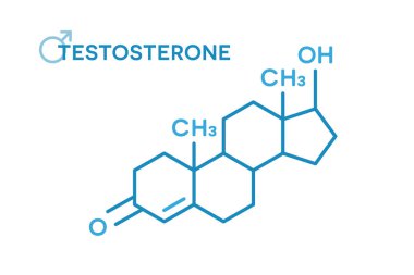 Testosteron hormonları moleküler formül. Seks hormonu sembolü