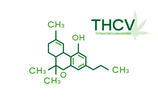 Fórmula molecular THCV. Estructura molecular de tetrahidrocannabivarina sobre fondo blanco . — Vector de stock