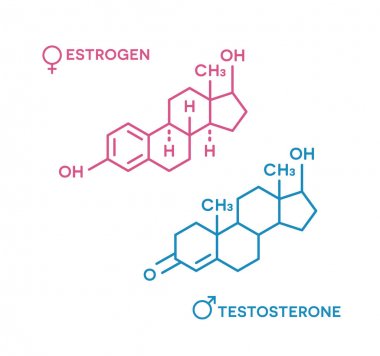 Östrojen ve testosteron hormonları sembolü. Seks hormonları moleküler formül.