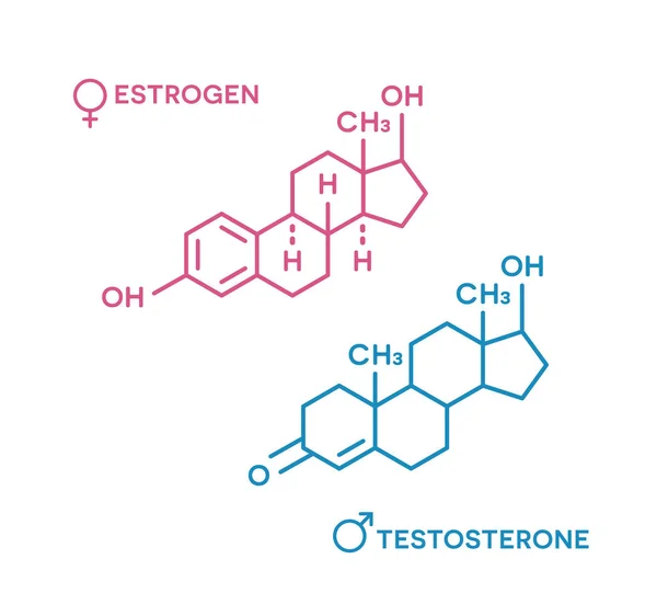 Östrogen und Testosteron-Hormone Symbol. Sexualhormone Molekularformel. — Stockvektor