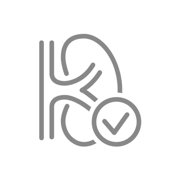 Riñón con marca de verificación icono de línea. Símbolo sano del órgano interno — Archivo Imágenes Vectoriales