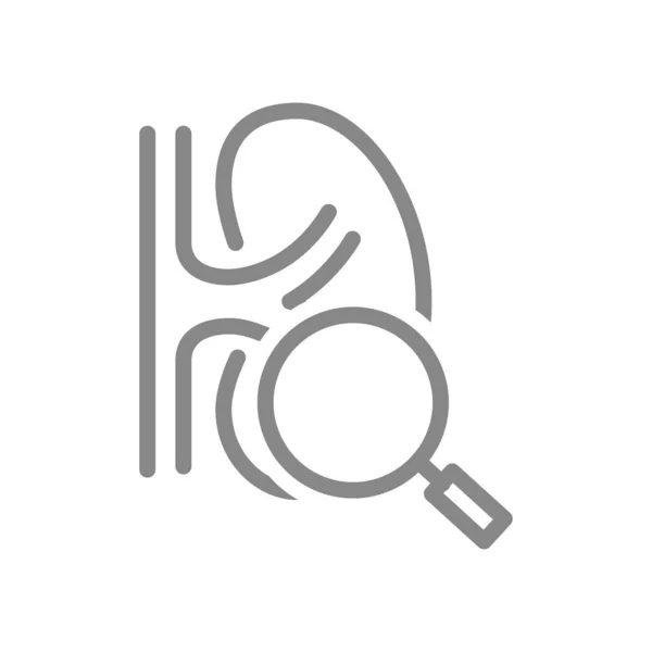 Riñón con icono de la línea de lupa. Investigación de órganos, símbolo de prevención de enfermedades — Vector de stock