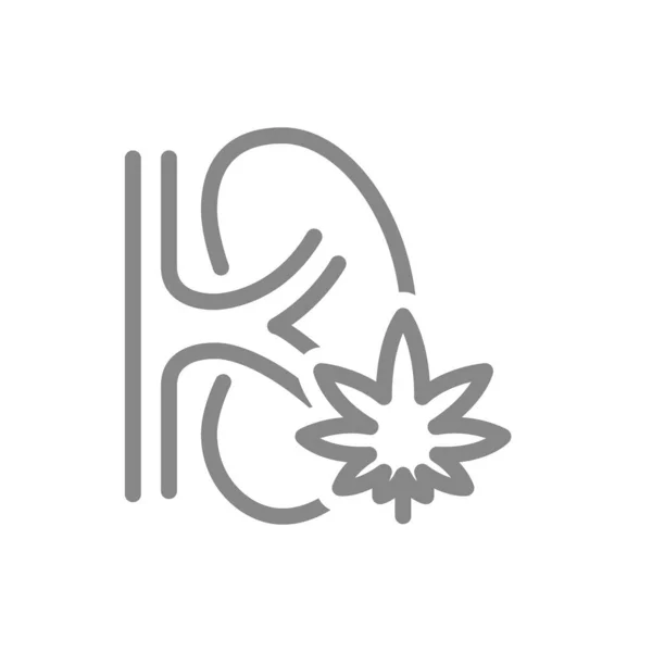 Human kidney with marijuana leaf line icon. Cannabis treatment, anesthesia symbol — Stock Vector