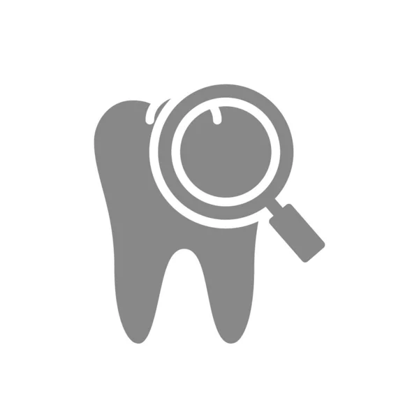 Tooth with magnifying glass gray icon. Organ research symbol. — Stock Vector