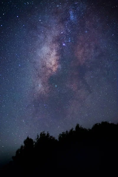 Voie Lactée Paysage Nocturne Fantastique Avec Voie Laiteuse Pourpre Ciel — Photo