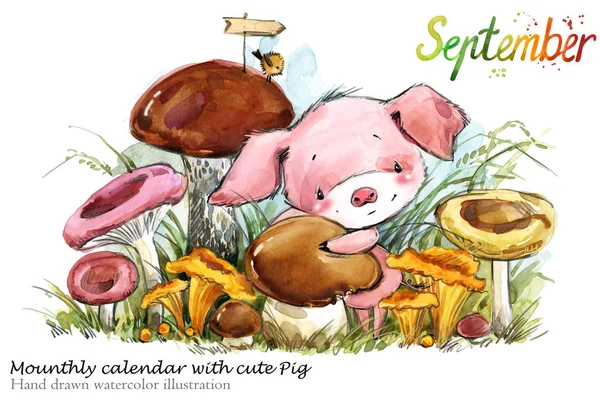 Cute pig hand drawn watercolor illustration. Mounth.ly calendar with piglet.