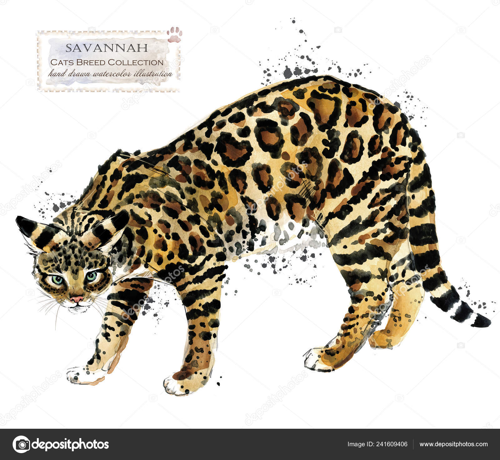 Gatto Savannah Illustrazione Dell Animale Domestico Dell Acquerello
