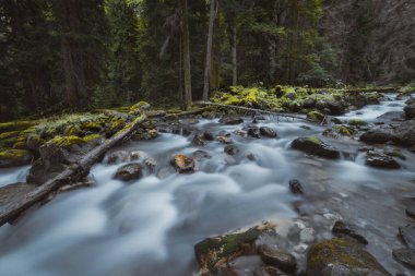 Sonbaharda dağlarda şelale